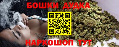 шишки Новокубанск