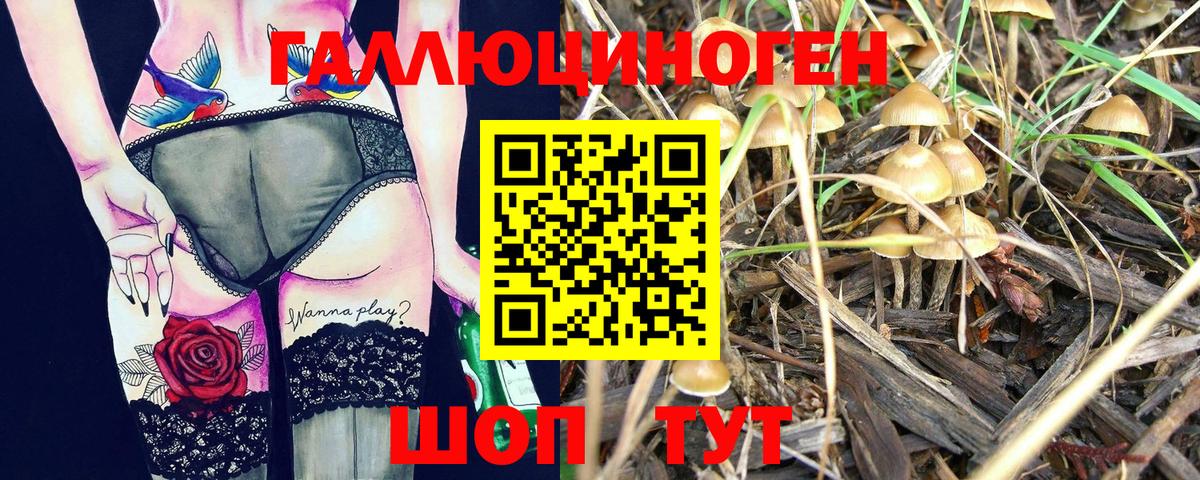 Усолье-Сибирское  Галлюциногенные грибы Psilocybine cubensis  Вход с VPN  Галлюциногенные грибы MAGIC MUSHROOMS 