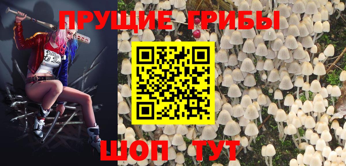 Галлюциногенные грибы Cubensis Усолье-Сибирское